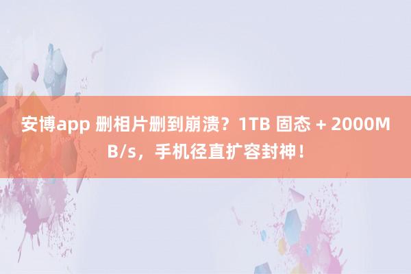 安博app 删相片删到崩溃？1TB 固态 + 2000MB/s，手机径直扩容封神！