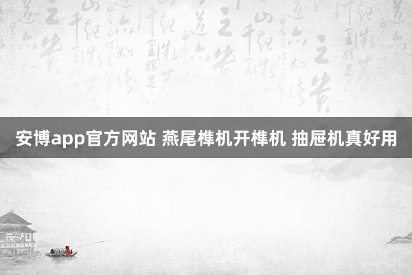 安博app官方网站 燕尾榫机开榫机 抽屉机真好用