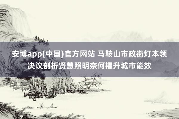 安博app(中国)官方网站 马鞍山市政街灯本领决议剖析贤慧照明奈何擢升城市能效