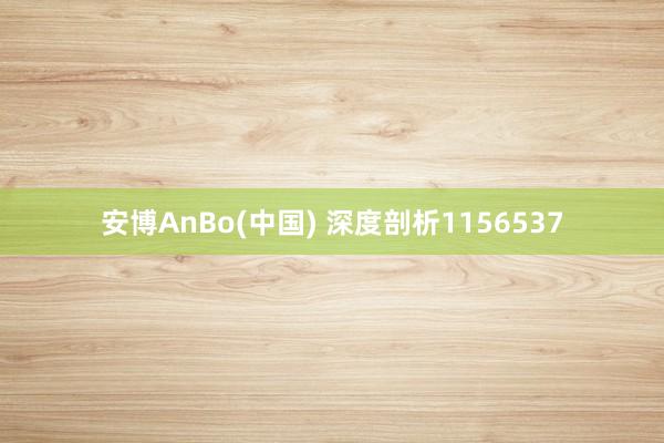 安博AnBo(中国) 深度剖析1156537