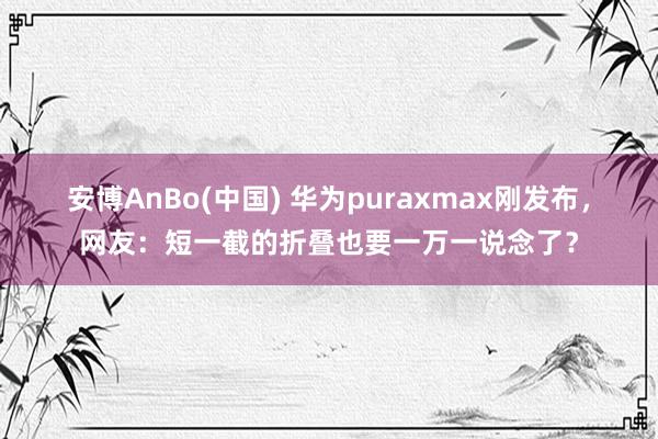 安博AnBo(中国) 华为puraxmax刚发布，网友：短一截的折叠也要一万一说念了？