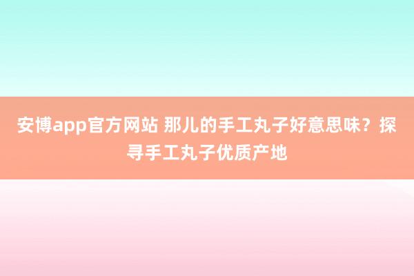 安博app官方网站 那儿的手工丸子好意思味？探寻手工丸子优质产地