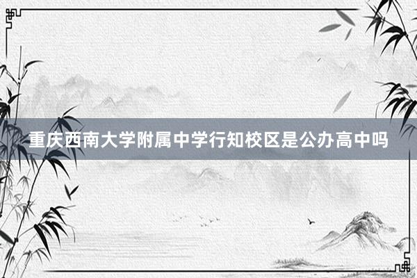 重庆西南大学附属中学行知校区是公办高中吗
