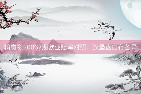 输赢彩26067期欧亚赔率对照：汉堡盘口存各异