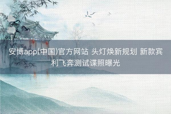 安博app(中国)官方网站 头灯焕新规划 新款宾利飞奔测试谍照曝光